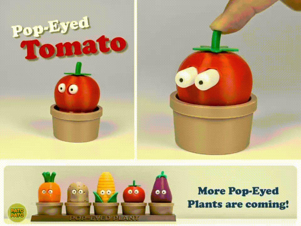 Tomate aux yeux globuleux