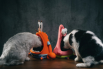 Bols de nouriture pour animaux de compagnie Bob l'éponge et Patrick – Image 3