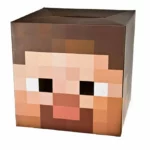 Minecraft Cosplay : Tête de Steve – Image 2